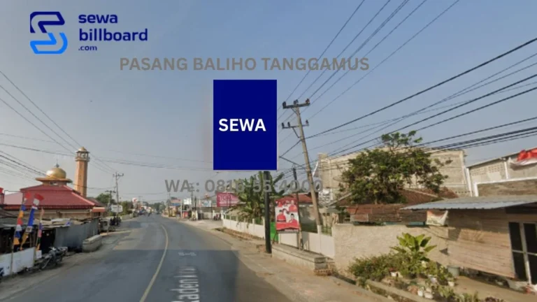 PASANG BALIHO TANGGAMUS (2)